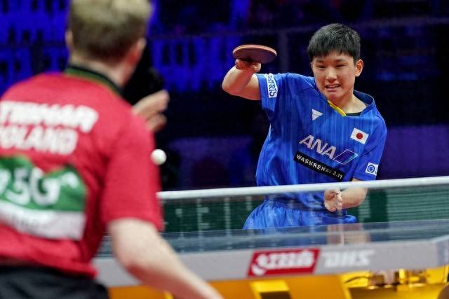 胜利之路漫长曲折，球队冠军梦想仍在的简单介绍