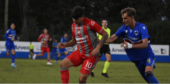 关于桑普多利亚举行球迷交流活动的信息