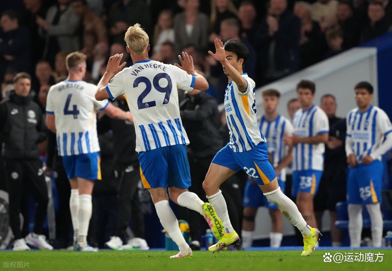 包含布赖顿球队选择青年球员打英超比赛，展现实力的词条