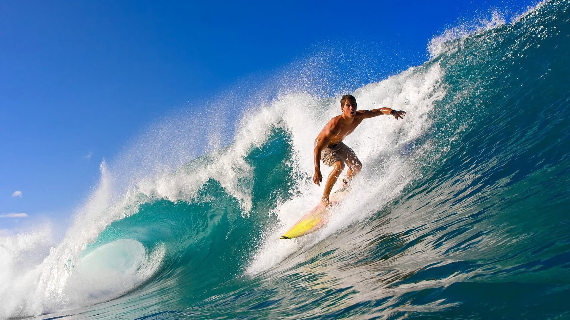 世俱杯赛程-跨界统治，从新西兰橄榄球大胜到卡瓦哈尔F1街道赛的掌控艺术